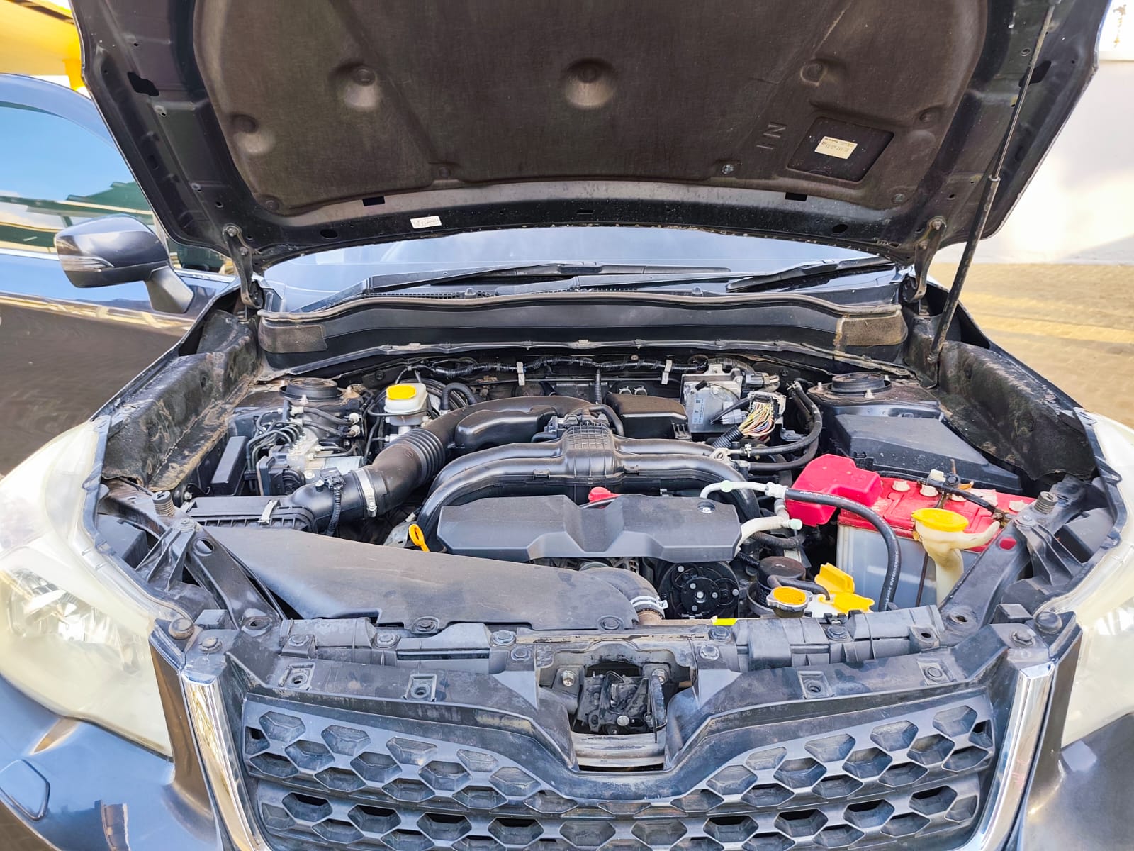 SUBARU FORESTER - 8