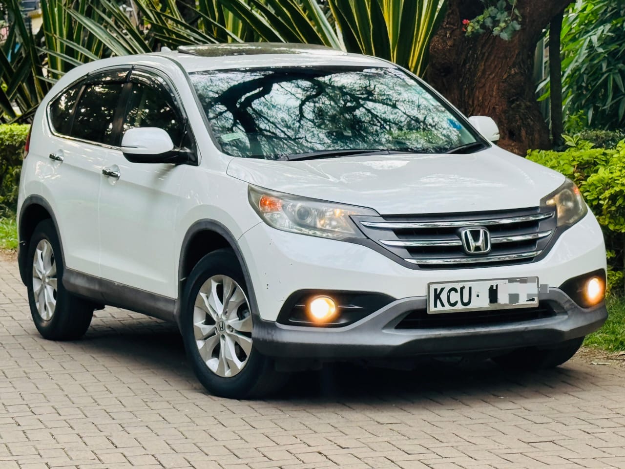HONDA CRV - 1